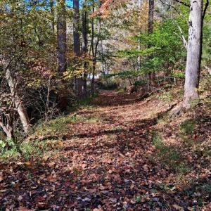 Photo #14 of North Fork, Amherst, VA 92.3 acres