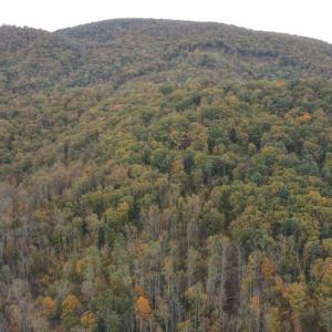 Photo #22 of North Fork, Amherst, VA 92.3 acres