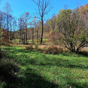 Photo #4 of North Fork, Amherst, VA 92.3 acres