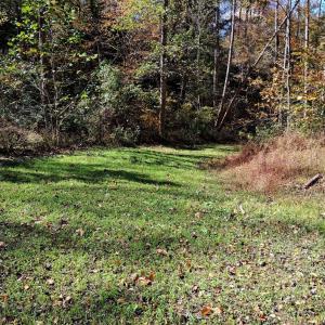 Photo #18 of North Fork, Amherst, VA 92.3 acres