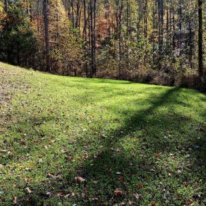 Photo #19 of North Fork, Amherst, VA 92.3 acres