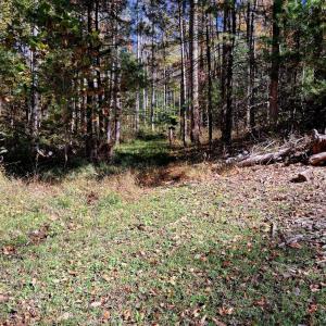 Photo #16 of North Fork, Amherst, VA 92.3 acres