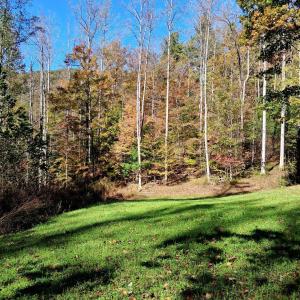 Photo #21 of North Fork, Amherst, VA 92.3 acres