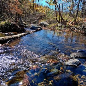 Photo #1 of North Fork, Amherst, VA 92.3 acres