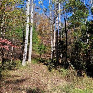 Photo #17 of North Fork, Amherst, VA 92.3 acres
