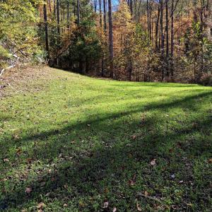Photo #15 of North Fork, Amherst, VA 92.3 acres
