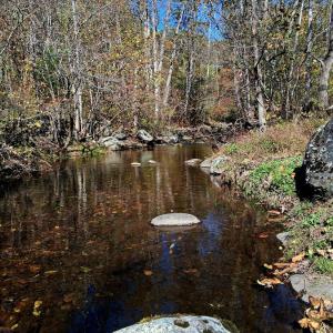 Photo #10 of North Fork, Amherst, VA 92.3 acres
