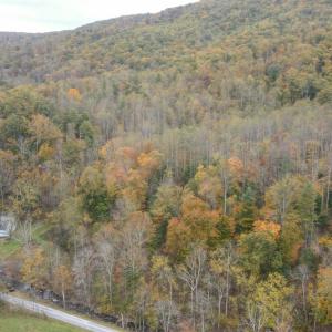 Photo #25 of North Fork, Amherst, VA 92.3 acres