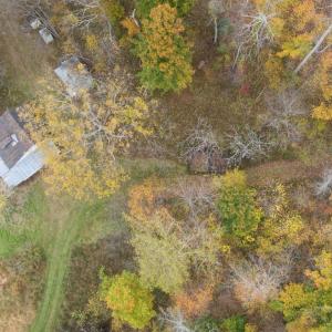 Photo #24 of North Fork, Amherst, VA 92.3 acres