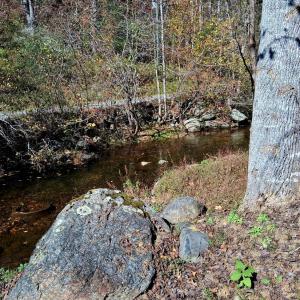Photo #9 of North Fork, Amherst, VA 92.3 acres