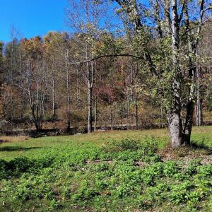Photo #2 of North Fork, Amherst, VA 92.3 acres