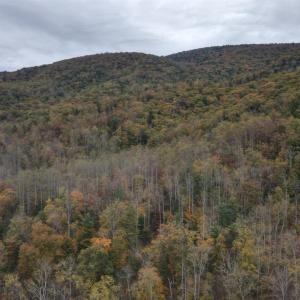 Photo #2 of North Forks Road, Amherst, VA 173.3 acres