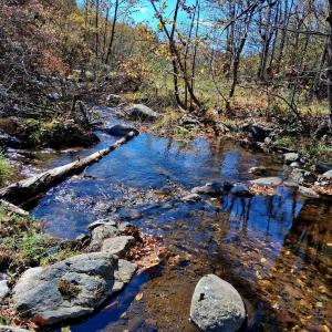 Photo #17 of North Forks Road, Amherst, VA 158.0 acres