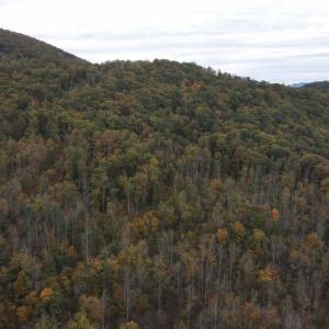 Photo #1 of North Forks Road, Amherst, VA 158.0 acres