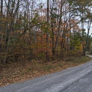 Photo #4 of North Forks Road, Amherst, VA 158.0 acres