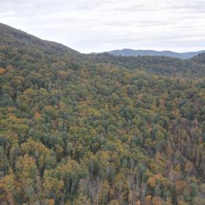 Photo #5 of North Forks Road, Amherst, VA 158.0 acres