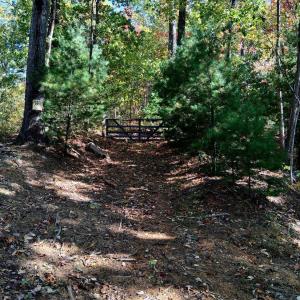 Photo #3 of North Forks Road, Amherst, VA 158.0 acres