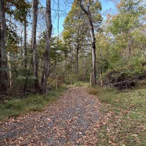 View from driveway looking towards Ramey Hodge Drive.
