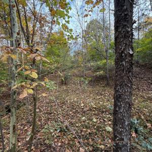 Photo #12 of 195 Ramey Hodge Drive, Martinsville, VA 11.0 acres