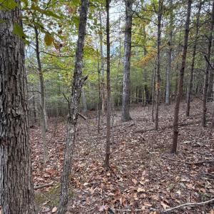 Photo #16 of 195 Ramey Hodge Drive, Martinsville, VA 11.0 acres