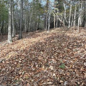 Photo #6 of 195 Ramey Hodge Drive, Martinsville, VA 11.0 acres