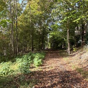 Photo #26 of 195 Ramey Hodge Drive, Martinsville, VA 11.0 acres