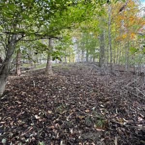 Photo #18 of 195 Ramey Hodge Drive, Martinsville, VA 11.0 acres