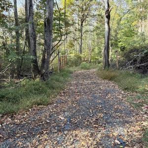 Photo #24 of 195 Ramey Hodge Drive, Martinsville, VA 11.0 acres