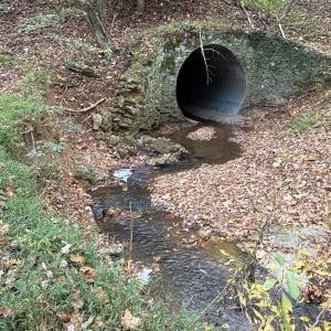 Southwest portion of tract is boarded by Mulberry Creek.