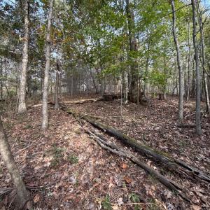 Photo #5 of 195 Ramey Hodge Drive, Martinsville, VA 11.0 acres