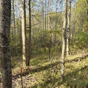 Photo #23 of 195 Ramey Hodge Drive, Martinsville, VA 11.0 acres