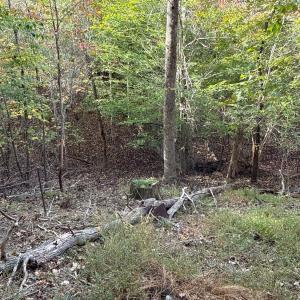 Photo #20 of 195 Ramey Hodge Drive, Martinsville, VA 11.0 acres