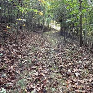 Photo #8 of 195 Ramey Hodge Drive, Martinsville, VA 11.0 acres