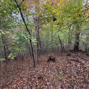 Photo #17 of 195 Ramey Hodge Drive, Martinsville, VA 11.0 acres