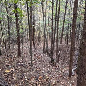 Photo #7 of 195 Ramey Hodge Drive, Martinsville, VA 11.0 acres
