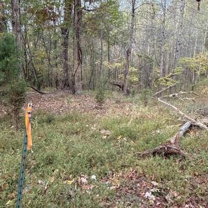 Photo #3 of 195 Ramey Hodge Drive, Martinsville, VA 11.0 acres