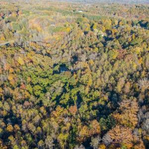 Photo #14 of 195 Ramey Hodge Drive, Martinsville, VA 11.0 acres