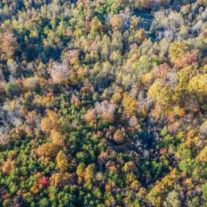 Photo #3 of 195 Ramey Hodge Drive, Martinsville, VA 11.0 acres