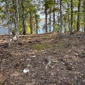 Photo #39 of 195 Ramey Hodge Drive, Martinsville, VA 11.0 acres