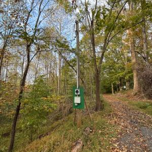 Electric is available but not currently installed onsite.