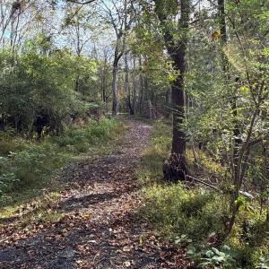 Photo #47 of 195 Ramey Hodge Drive, Martinsville, VA 11.0 acres