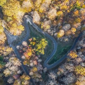 Photo #4 of 195 Ramey Hodge Drive, Martinsville, VA 11.0 acres