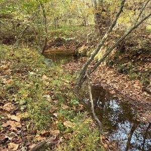 Southwest portion of tract is boarded by Mulberry Creek.