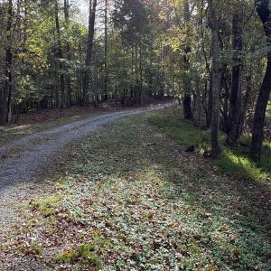 Photo #45 of 195 Ramey Hodge Drive, Martinsville, VA 11.0 acres