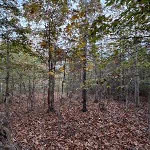 Photo #35 of 195 Ramey Hodge Drive, Martinsville, VA 11.0 acres