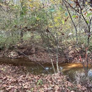 Southwest portion of tract is boarded by Mulberry Creek.