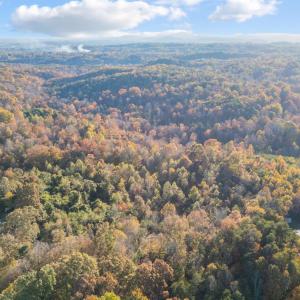 Photo #19 of 195 Ramey Hodge Drive, Martinsville, VA 11.0 acres