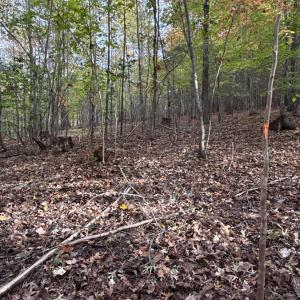 Photo #34 of 195 Ramey Hodge Drive, Martinsville, VA 11.0 acres