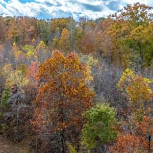 Photo #20 of Pin Oak Rd, Prospect, VA 5.0 acres