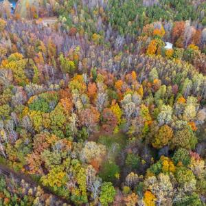 Photo #10 of Pin Oak Rd, Prospect, VA 5.0 acres